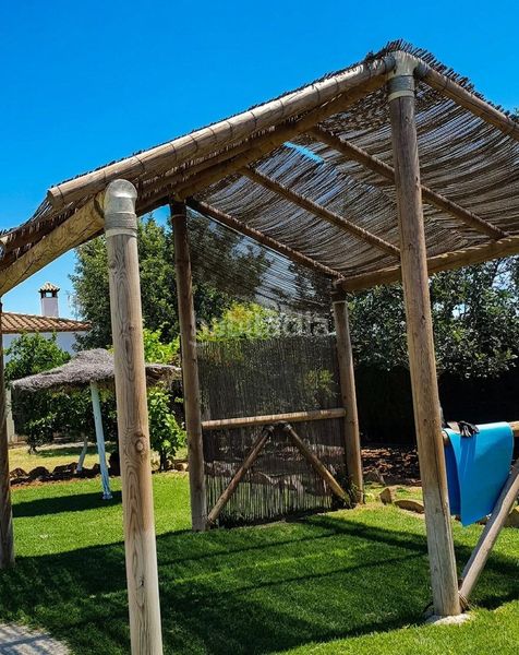 Foto f4754077-d2a1-46cc-90ea-0921921efc5a. Casa amb piscina a Coronil (El)