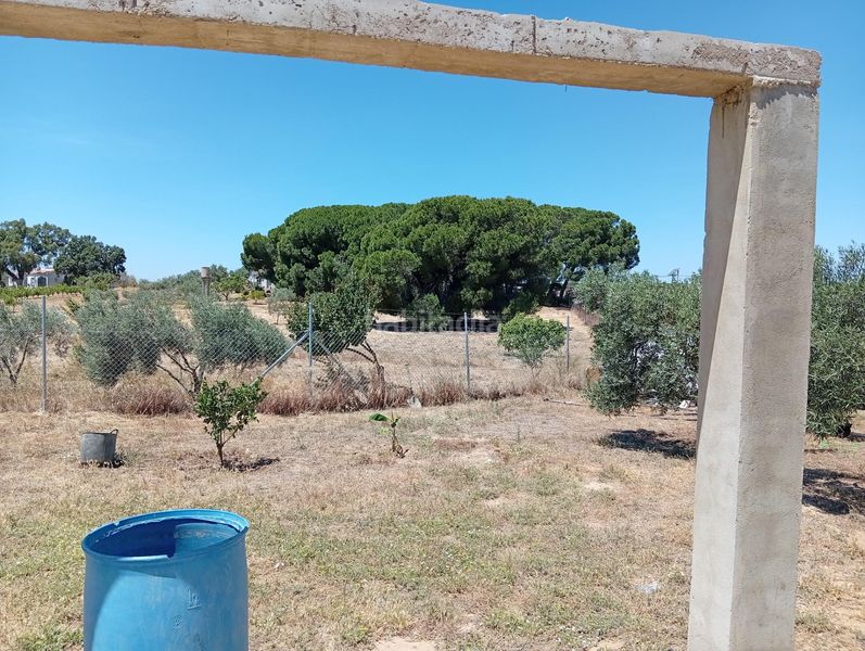 Foto 133292c7-5d81-49ca-a35a-e0e419c397d9. Masía casa rústica de 100 m2 con finca de 5.931 m2 en producción en Villablanca