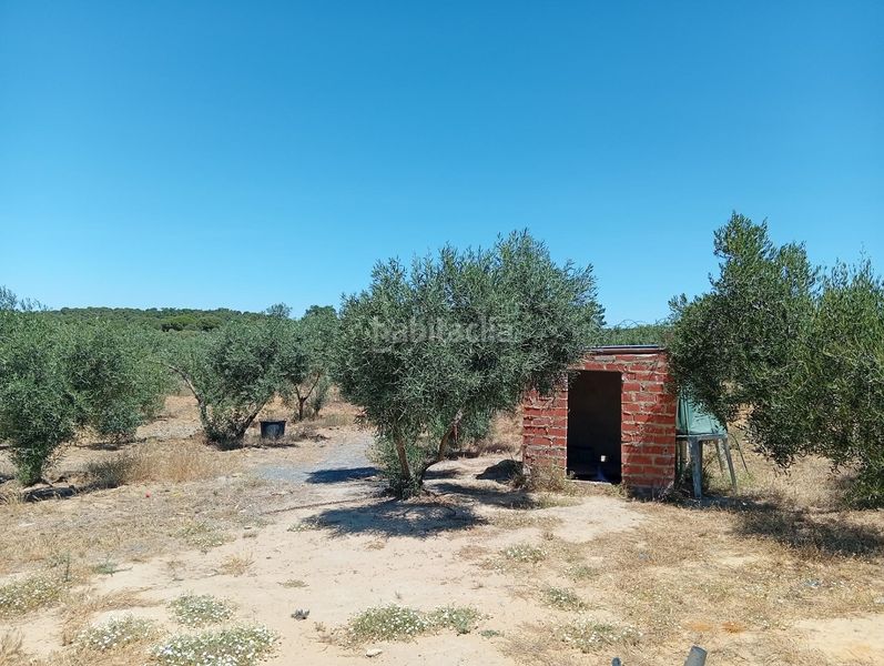 Foto d366f6b5-4d3d-47cd-8dc7-376b4d2d2047. Masía casa rústica de 100 m2 con finca de 5.931 m2 en producción en Villablanca