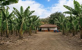 Casa en Gáldar pueblo. Explotación agrícola de plátano en producción  gáldar, gran cana