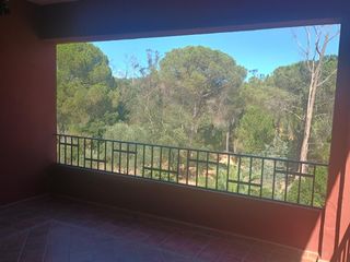 Country house in Valverde del Camino. Espectacular finca de 1.800 m2 con 4 viviendas independientes en