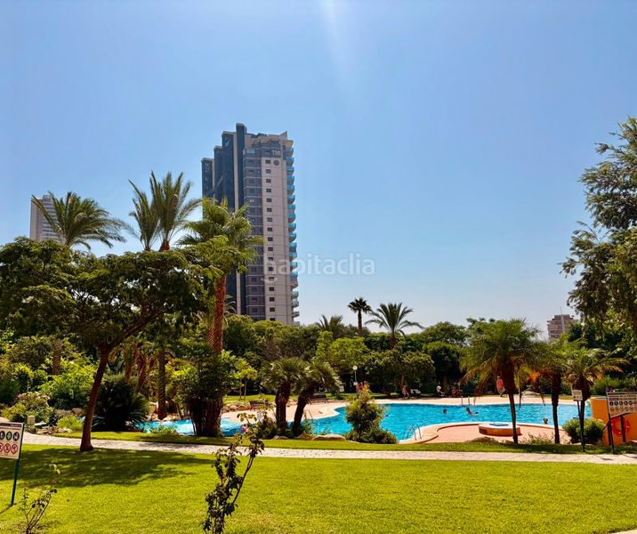 Foto af3c012c-e769-4d78-94fc-456885746782. Pis amb piscina a Playa Poniente Benidorm