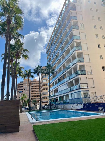 Foto 7cda0b7a-683f-4244-8b84-e51c4f17301c. Piso esplendida vivienda lista para vivir en la manga del mar menor, murcia en Manga del Mar Menor (La)