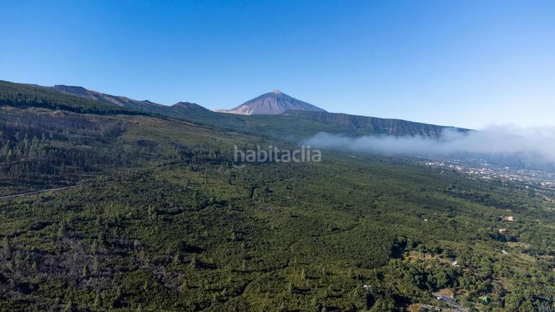 Foto 199ae4e5-ae60-424c-b2a7-bcceaf634f0c. Finca rústica a El Bebedero - Pinolere - Aguamansa Orotava (La)