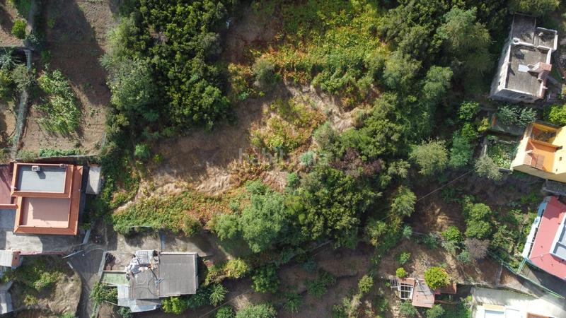 Foto 533e9166-8bfc-4199-8e84-088c72b08bfd. Finca rústica a El Bebedero - Pinolere - Aguamansa Orotava (La)