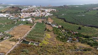 Fondo rustico in Calle c/ susana. finca santiago s/n. Terreno en venta en los silos centro