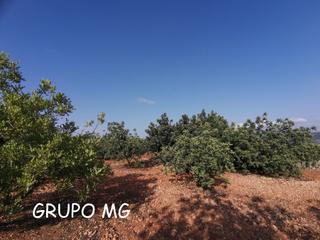 Finca rústica  N/a