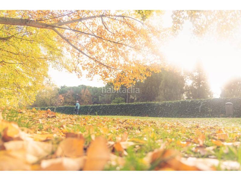 Foto 275ffc65-17c3-4d67-bdcb-f5167f6fcce8. Pis amb calefacció a Santa Teresa - San Pedro Cardeña Burgos