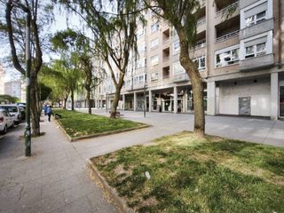 Local Comercial  Calle san bruno. Local en venta junto a parque felix rodriguez de la fuente