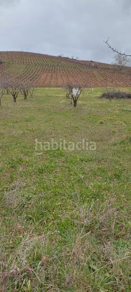 Foto 7c655322-f832-4ea5-8bb5-5fc8cc978f36. Mas dans Zona Alta Ponferrada