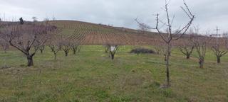 Mas à Zona Alta. Finca rustica en toral de merayo, ponferrada
