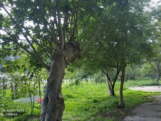 Masia en Zizurkil. Casero en venta con mltiples posibilidades