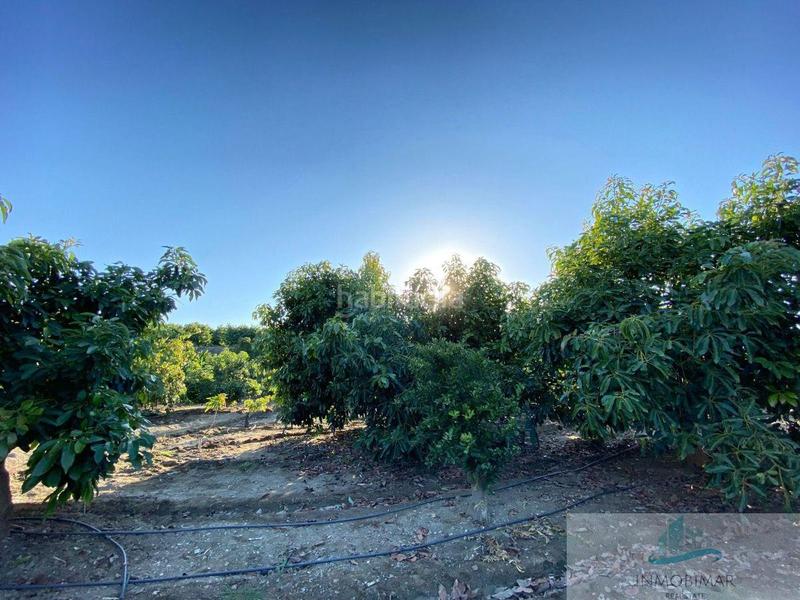 Foto bd98fdec-f7bd-4946-8e0d-3186f8c60dba. Masía finca rustica en Centro Salobreña