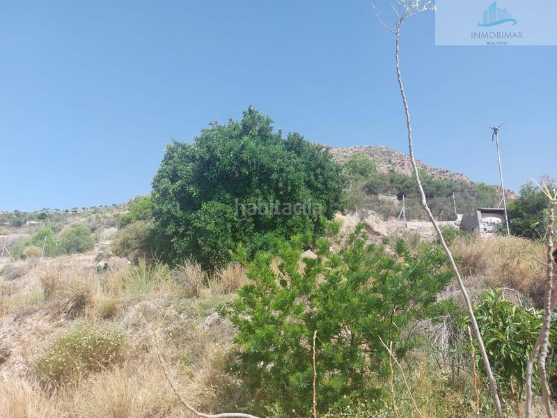 Foto c45794fb-8ddd-4928-bbef-e67d3b47f3ee. Masia a Molvízar