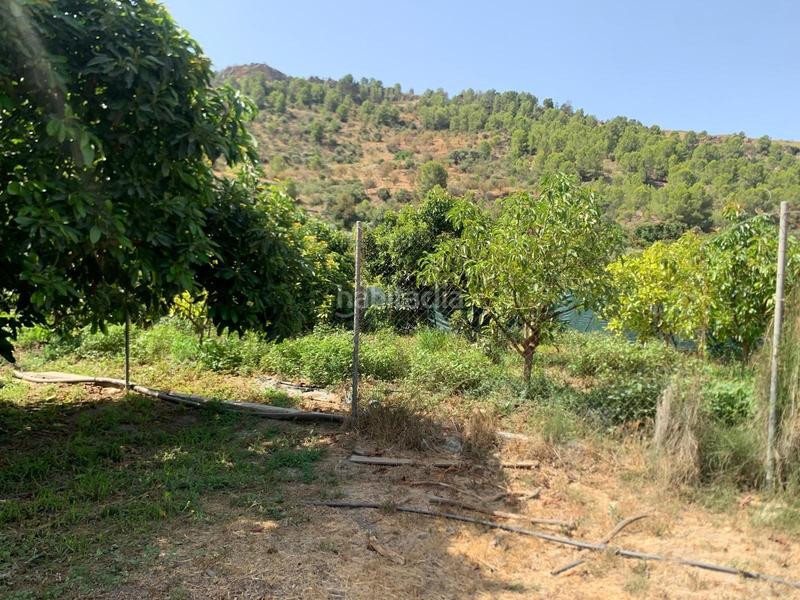 Foto 2ba0bbec-d65d-4979-8b53-f7ff92af2f20. Propriété dans Vélez de Benaudalla