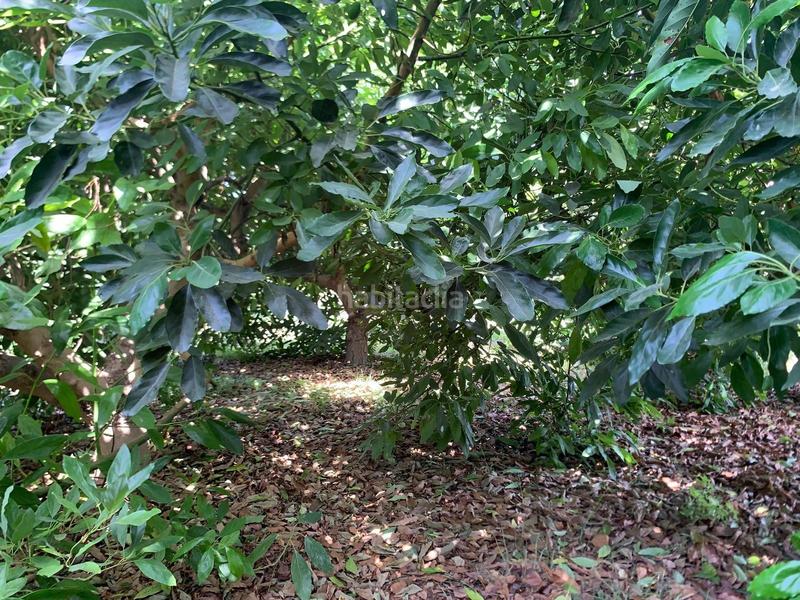 Foto 4b88bd00-e33f-4c13-95b3-e4ded3a9bd22. Propriété dans Vélez de Benaudalla