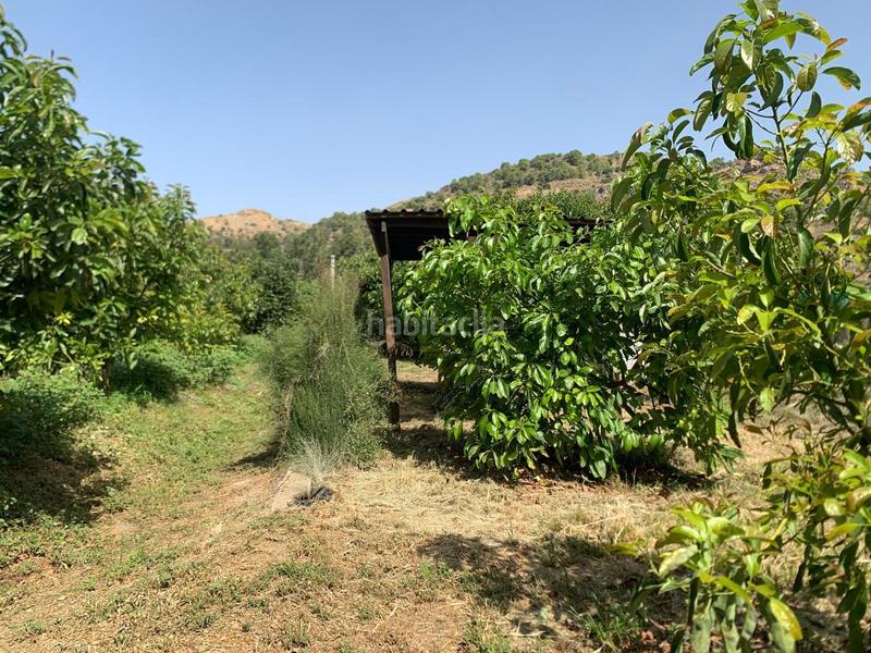 Foto 7ac4011b-56a9-4c3c-a43d-401f6dda8cfe. Propriété dans Vélez de Benaudalla