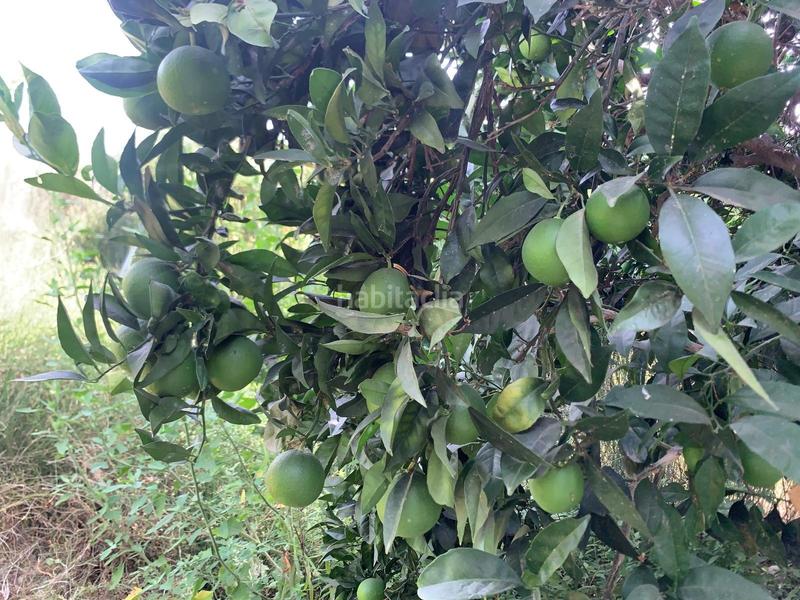 Foto 7f3d2b3c-2ba4-4e7c-a404-0db72772afa1. Propriété dans Vélez de Benaudalla