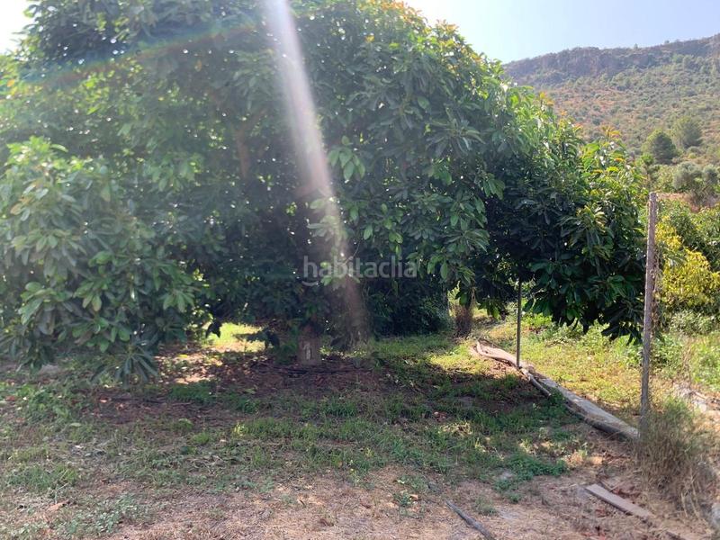 Foto bd7fab85-74a4-45b2-9f2c-d56b8ae52c12. Propriété dans Vélez de Benaudalla