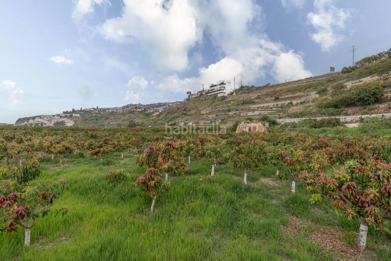 Foto 1e0019e7-7898-4cff-a9d5-0df3ca85a5b4. Terrain résidentiel dans carretera malaga (cal) dans Salobreña