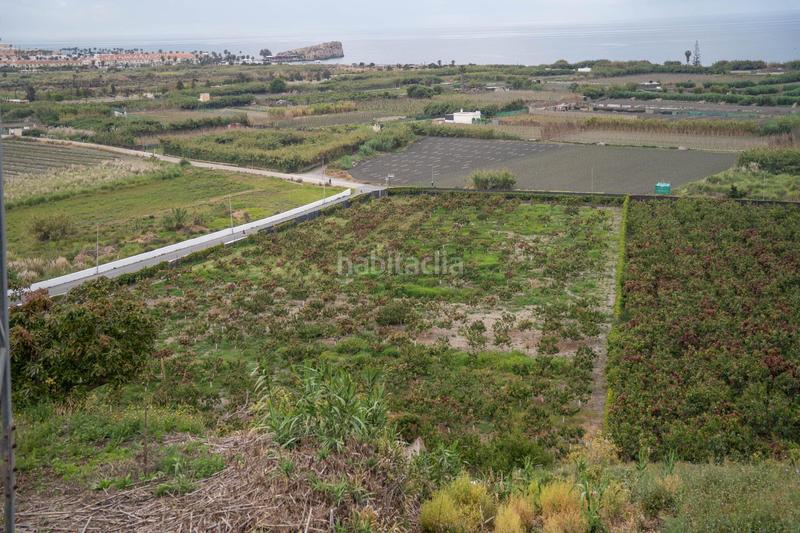 Foto dce3ab2b-3561-4d56-8946-84ffd20bcad0. Terrain résidentiel dans carretera malaga (cal) dans Salobreña
