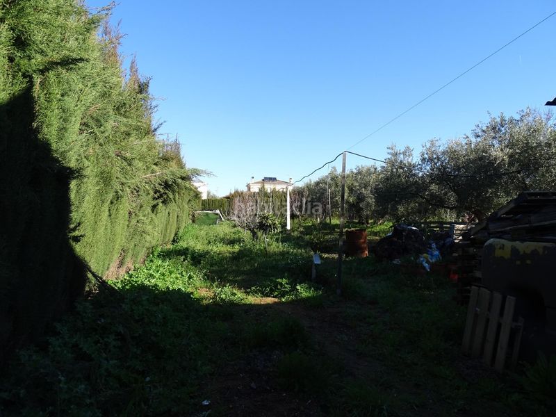 Foto c2162f51-90be-4530-9335-cd91cea23352. Xalet amb aparcament piscina a Atarfe