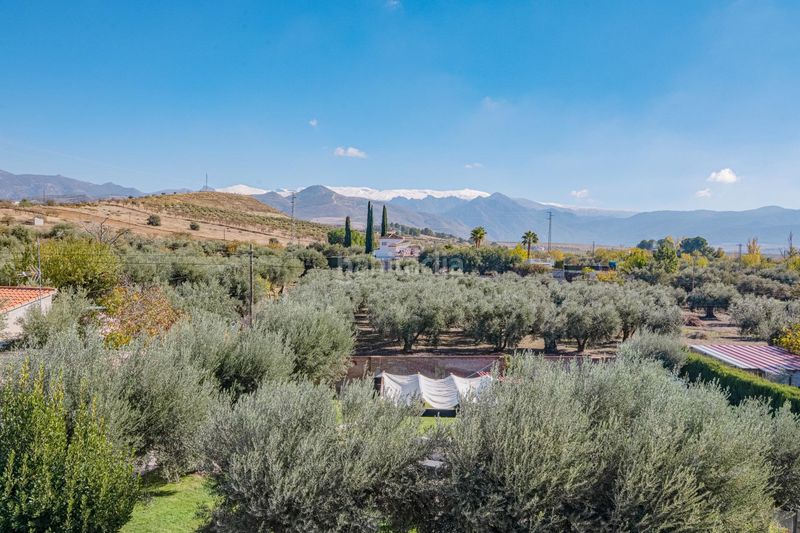 Foto 9e6738ae-42b5-405c-91fe-a01858cf91e5. Xalet amb aparcament a Gójar