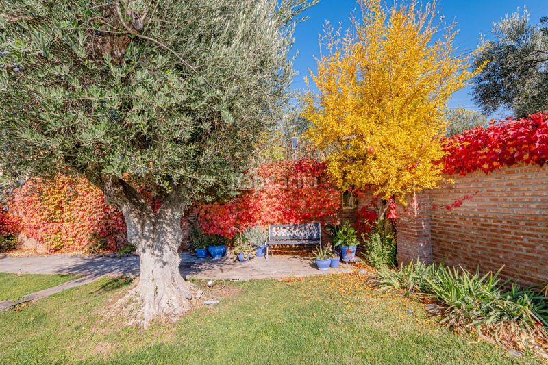 Foto c67ca274-794e-4dd7-a2cb-48d9b9cacb78. Xalet amb aparcament a Gójar