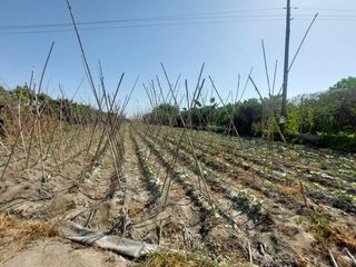 Finca rústica a Motril  ciudad