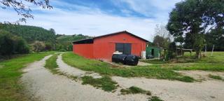 Finca rústica en Inmobiliaria - Barreda. Nave de 250m2 en finca de 5.885 m2.