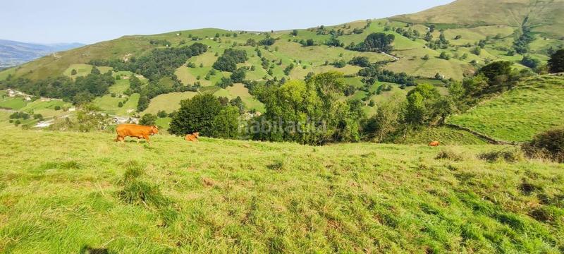 Foto a85f9c91-4e15-4668-8769-186958faa008. Casa cabaña con finca de 7.000 m2 y vistas panorámicas. en Selaya