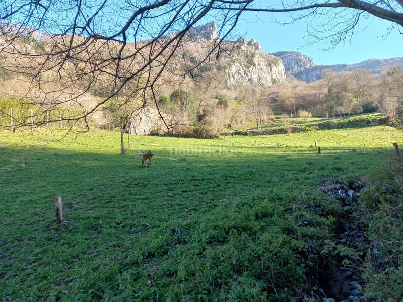 Foto 60f4a2aa-49dc-4eb6-a2f7-9ee35bfe0f2c. Casa a Miera