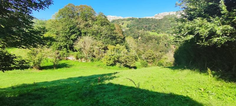 Foto dc207c84-6dcb-4788-b994-4328911b5c9b. Casa a Miera