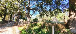 Finca rústica en Villafufre. Terreno edificable en un entorno natural privilegiado.