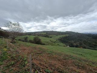 Landgut in Ruiloba. Conjunto de fincas rusticas en ruiloba más de 2,1 ha en entorno