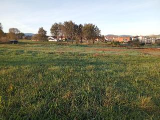 Residential Plot in Polanco. Terreno urbano en polanco ideal para inversores.