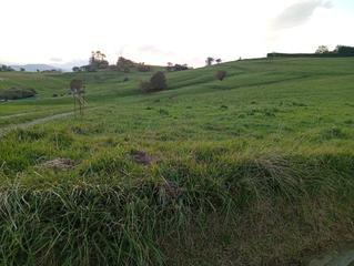Fondo rustico in Oruña. Amplio terreno rústico en rumoroso a menos de 200 metros del núc