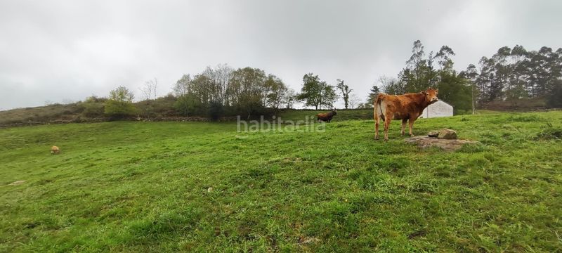 Foto 51badd15-00b2-4336-ba48-8d1a40a6b17b. Casa a Luena