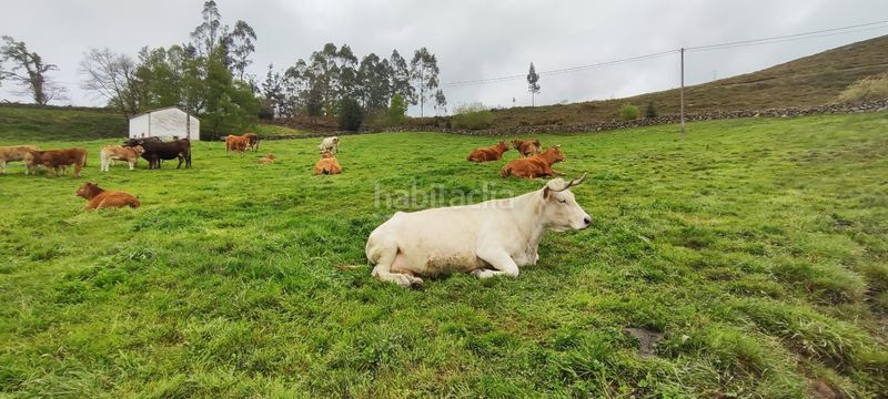 Foto 55131596-16e4-403f-970d-76828cf64d8c. Casa a Luena