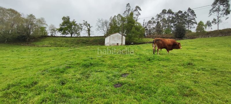 Foto 7d1a468c-9bfa-437c-b7f1-53616abff62b. Casa a Luena