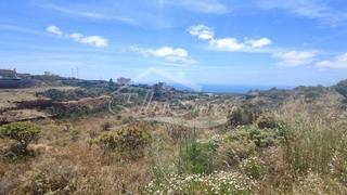 Finca rústica a Tamaide - El Roque. Parcela rústica en san miguel de abona, tenerife