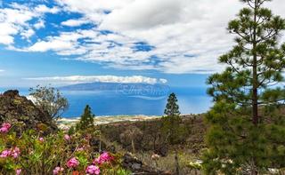 Finca rústica a Guía de Isora Interior. Parcela rústica en guia de isora, tenerife