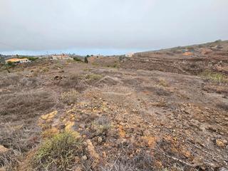 Finca rústica a La Quinta - Taucho. Parcela rústica en taucho, tenerife