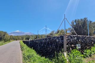 Landgut in Tanque (El). Parcela rústica en ruigomez, el tanque, tenerife
