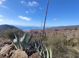 Finca rústica a Guía de Isora Interior. Parcela en tejina de isora, tenerife