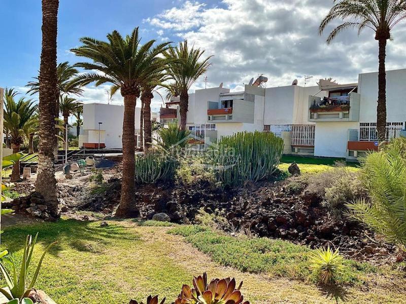 Foto 583191c9-6211-4435-8d2c-b3a09dd2f400. Appartement avec piscine dans Costa del Silencio Arona