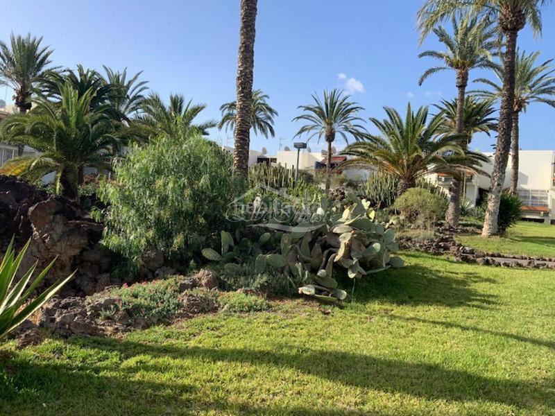 Foto e986d85a-9a1f-44bc-9973-742848b5763c. Appartement avec piscine dans Costa del Silencio Arona
