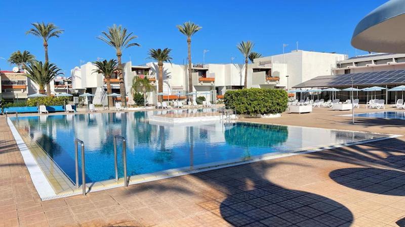 Foto f41df4d9-893a-434f-a416-15fbc4a36bfe. Appartement avec piscine dans Costa del Silencio Arona