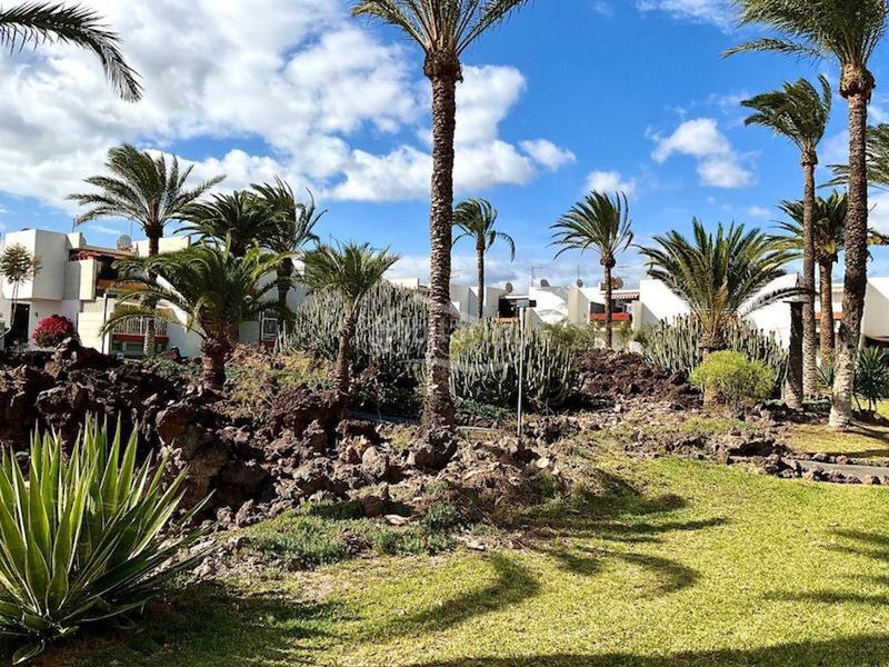 Foto f7009cf6-4cbb-4e2f-916f-cd6c66f3e586. Appartement avec piscine dans Costa del Silencio Arona