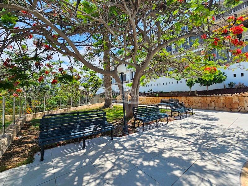 Foto caa4535d-15a4-44aa-a35d-5e1a6607f6b1. Appartamento in víctor zurita soler 3 in Playa de las Américas Arona